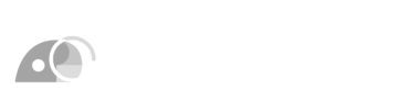 Kimichi Code